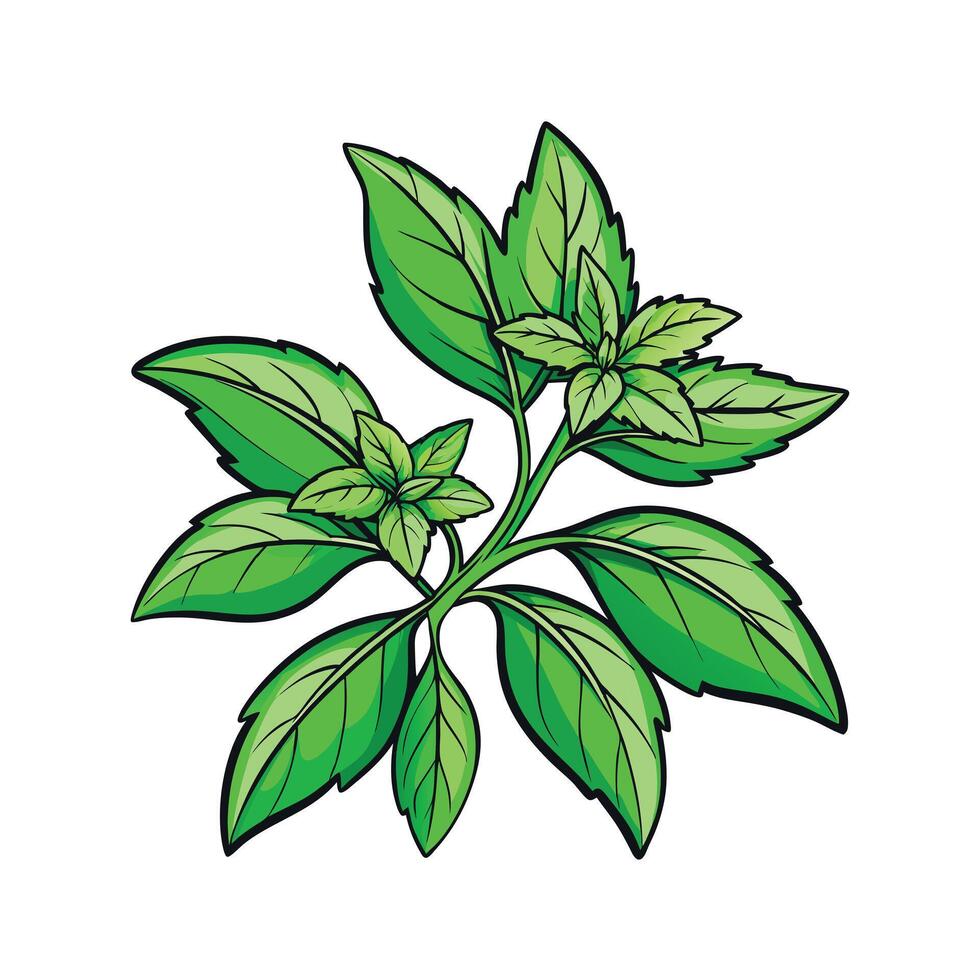 Realistic Beautiful Herbs Illustration vector