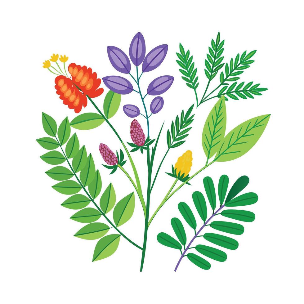 Realistic Beautiful Herbs Illustration vector