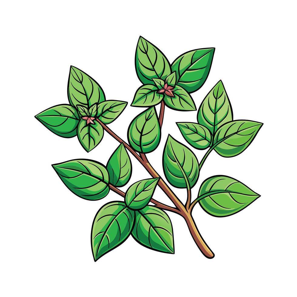 Realistic Beautiful Herbs Illustration vector