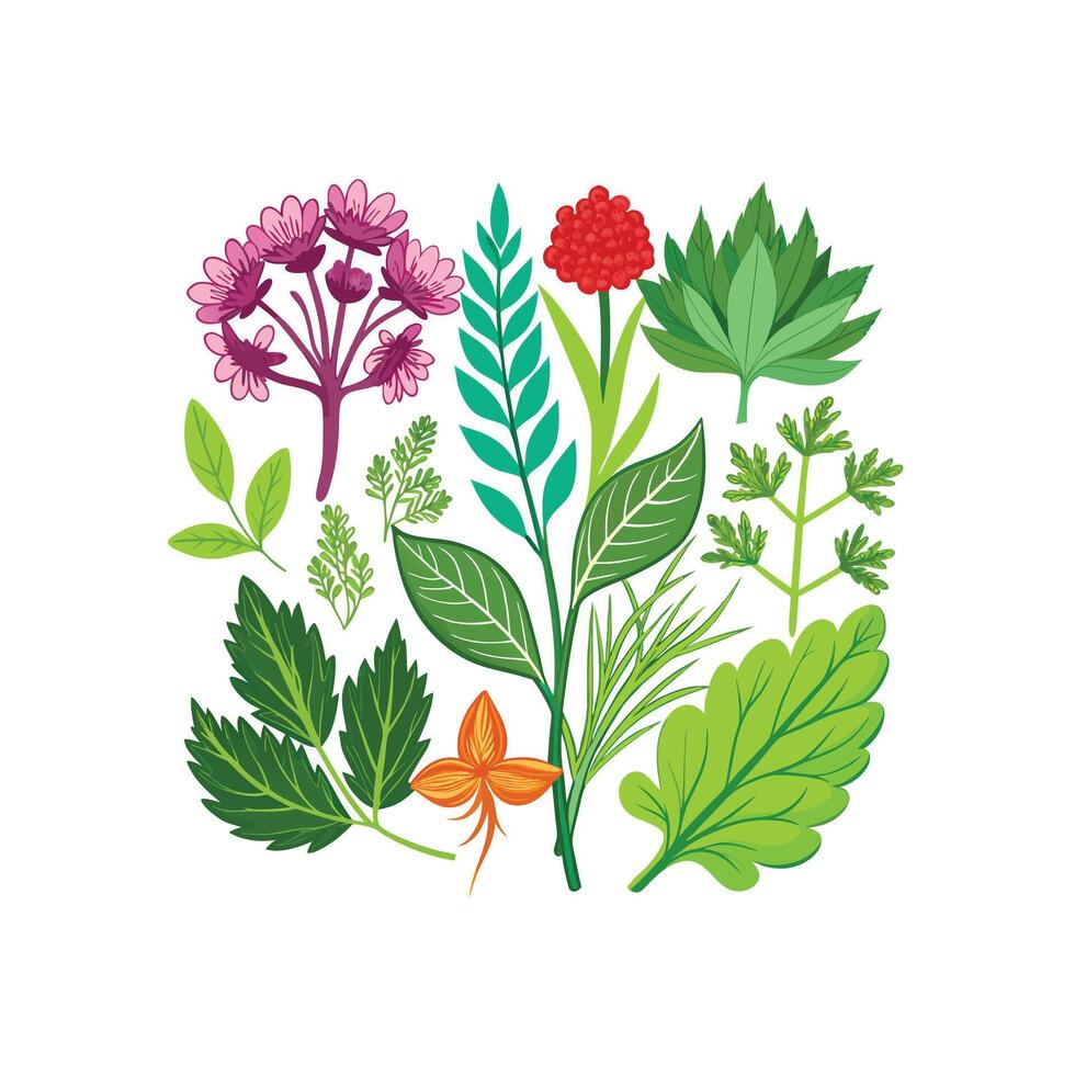 Realistic Beautiful Herbs Illustration vector