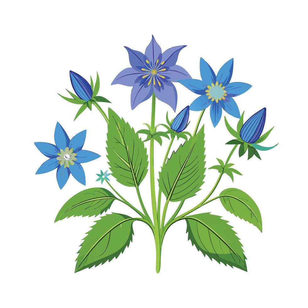 Realistic Beautiful Herbs Illustration vector