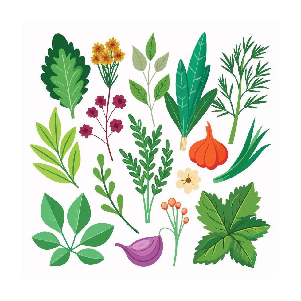 Realistic Beautiful Herbs Illustration vector