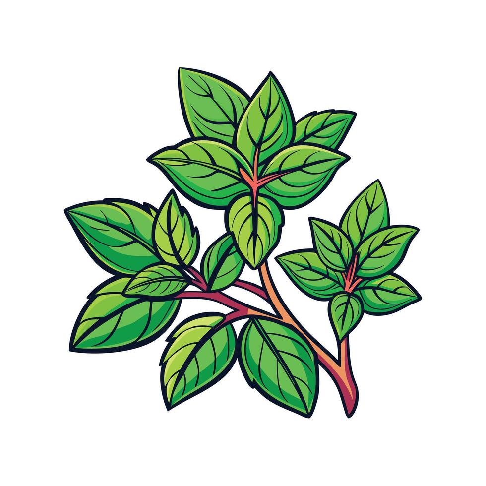Realistic Beautiful Herbs Illustration vector