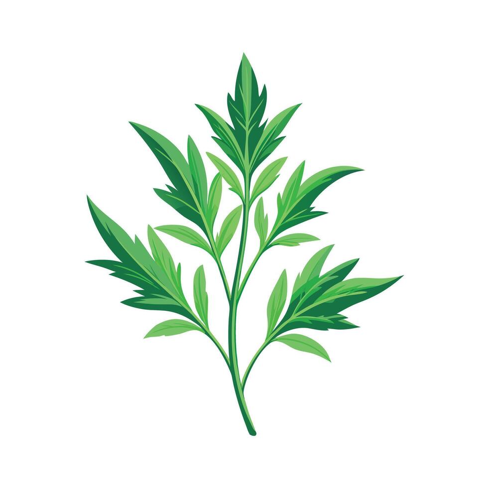 Realistic Beautiful Herbs Illustration vector