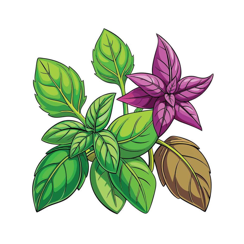 Realistic Beautiful Herbs Illustration vector