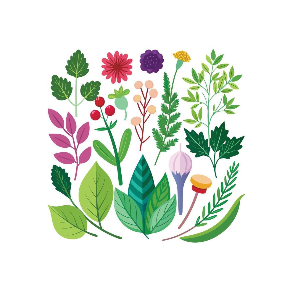 Realistic Beautiful Herbs Illustration vector