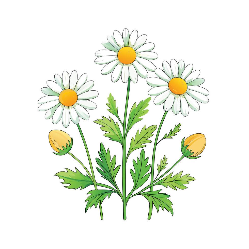 Realistic Beautiful Herbs Illustration vector