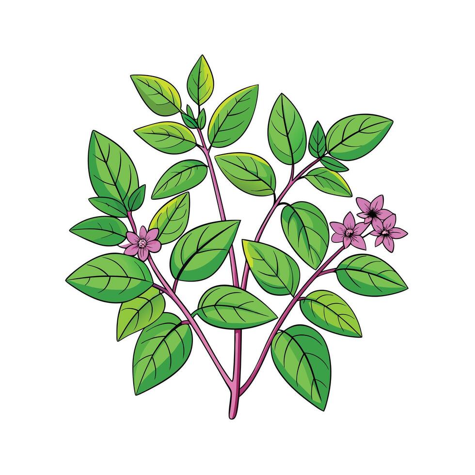 Realistic Beautiful Herbs Illustration vector