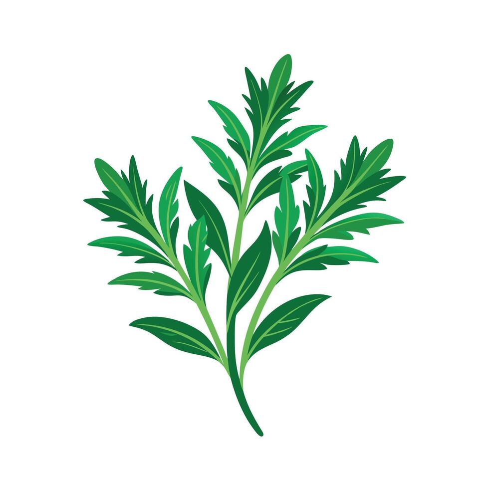 Realistic Beautiful Herbs Illustration vector