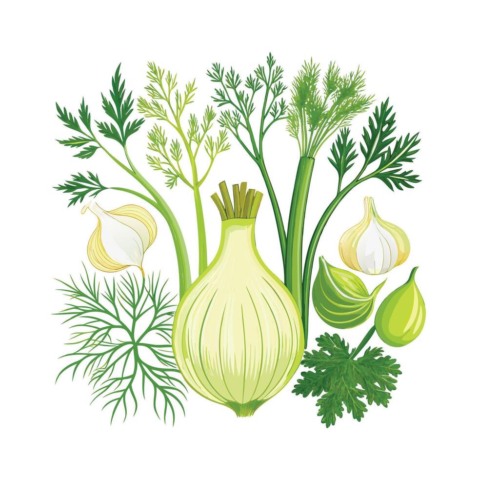 Realistic Beautiful Herbs Illustration vector