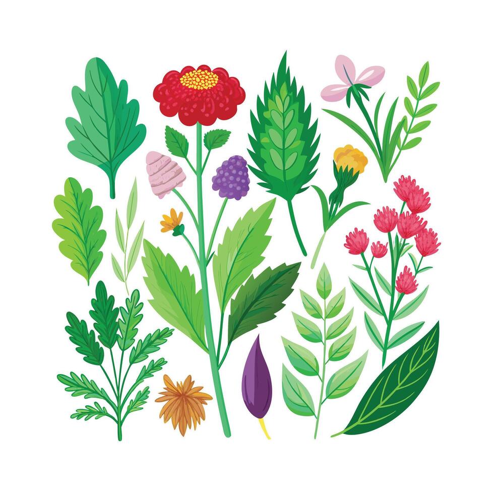 Realistic Beautiful Herbs Illustration vector