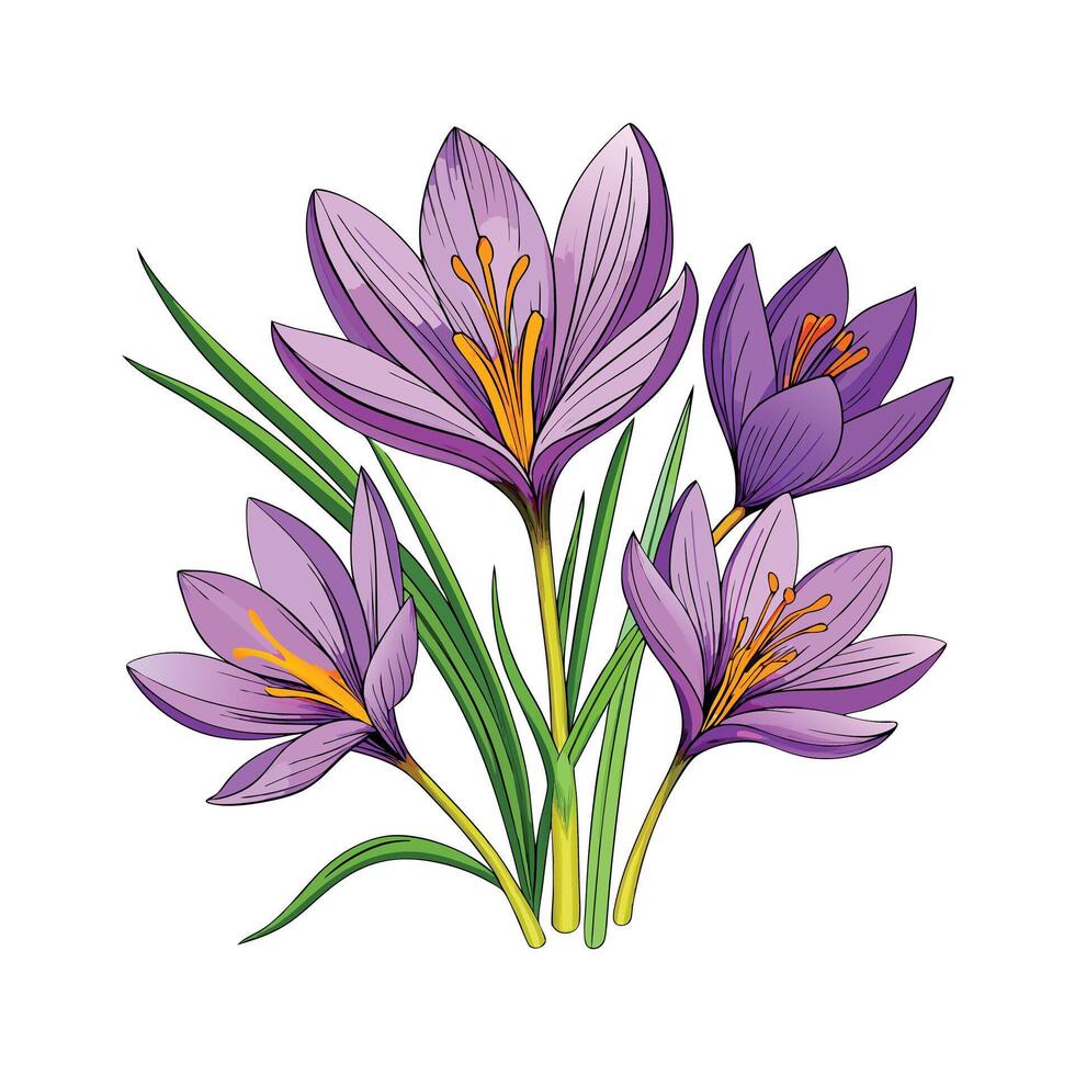 Realistic Beautiful Herbs Illustration vector