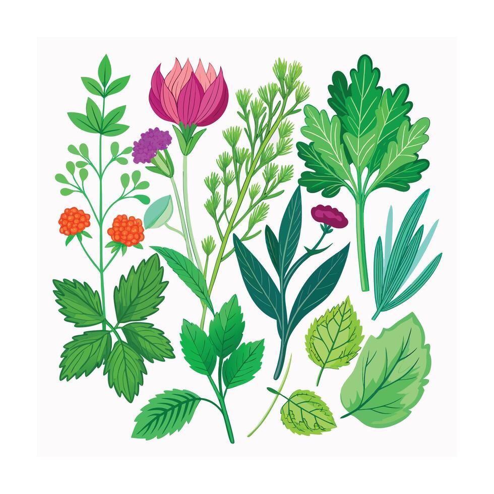 Realistic Beautiful Herbs Illustration vector