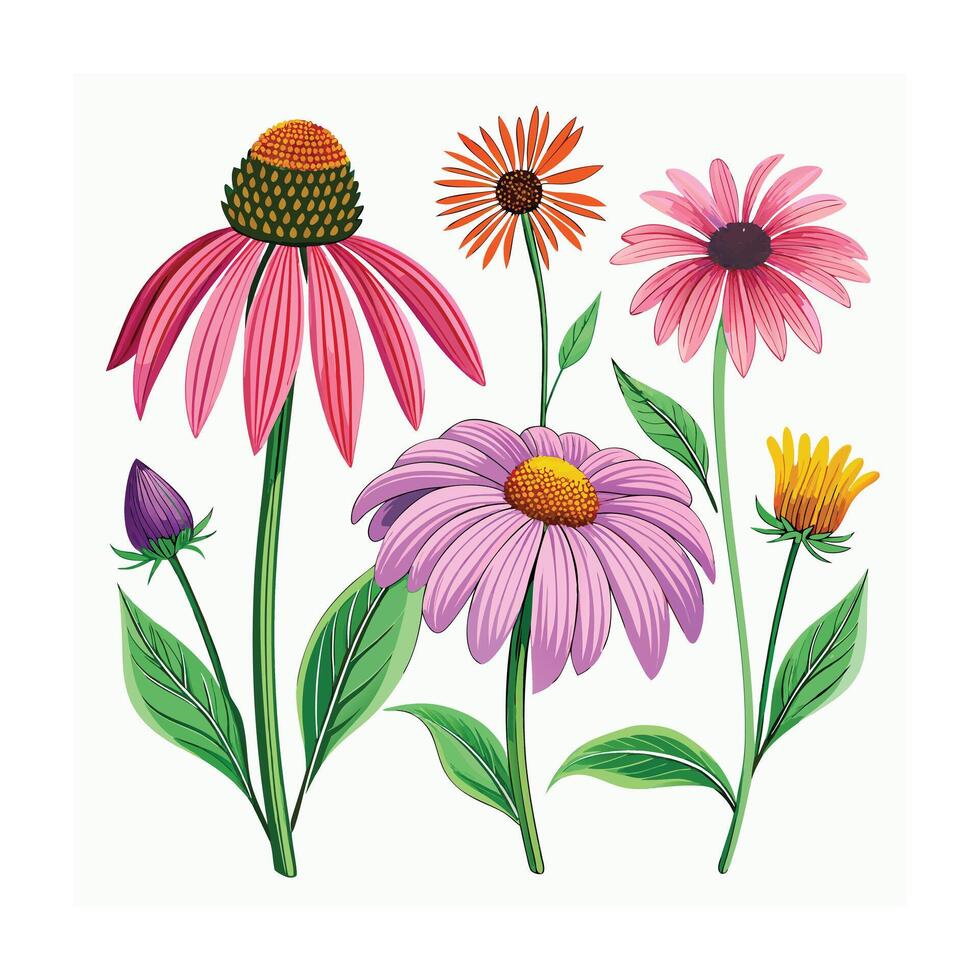 Realistic Beautiful Herbs Illustration vector