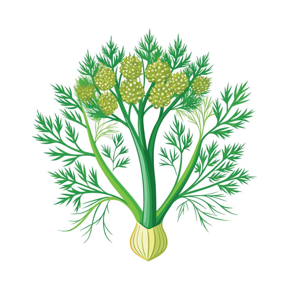 Realistic Beautiful Herbs Illustration vector