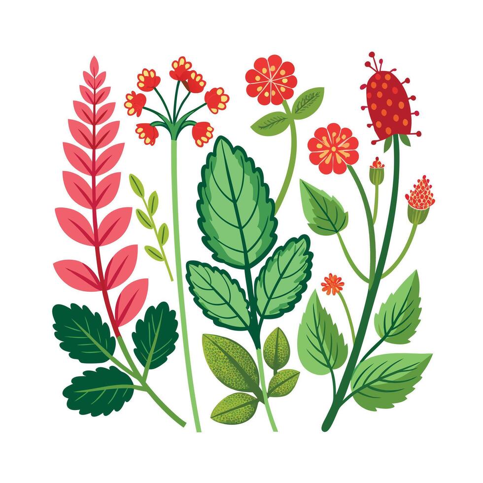 Realistic Beautiful Herbs Illustration vector