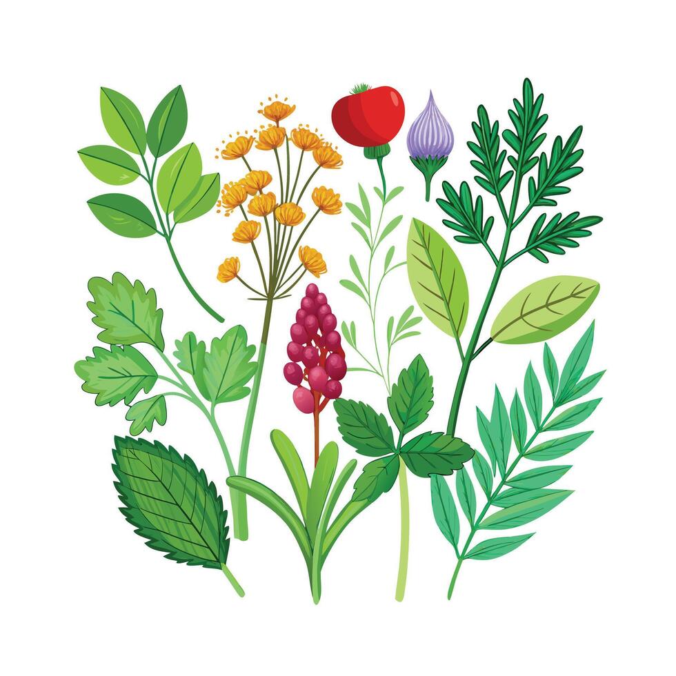 Realistic Beautiful Herbs Illustration vector