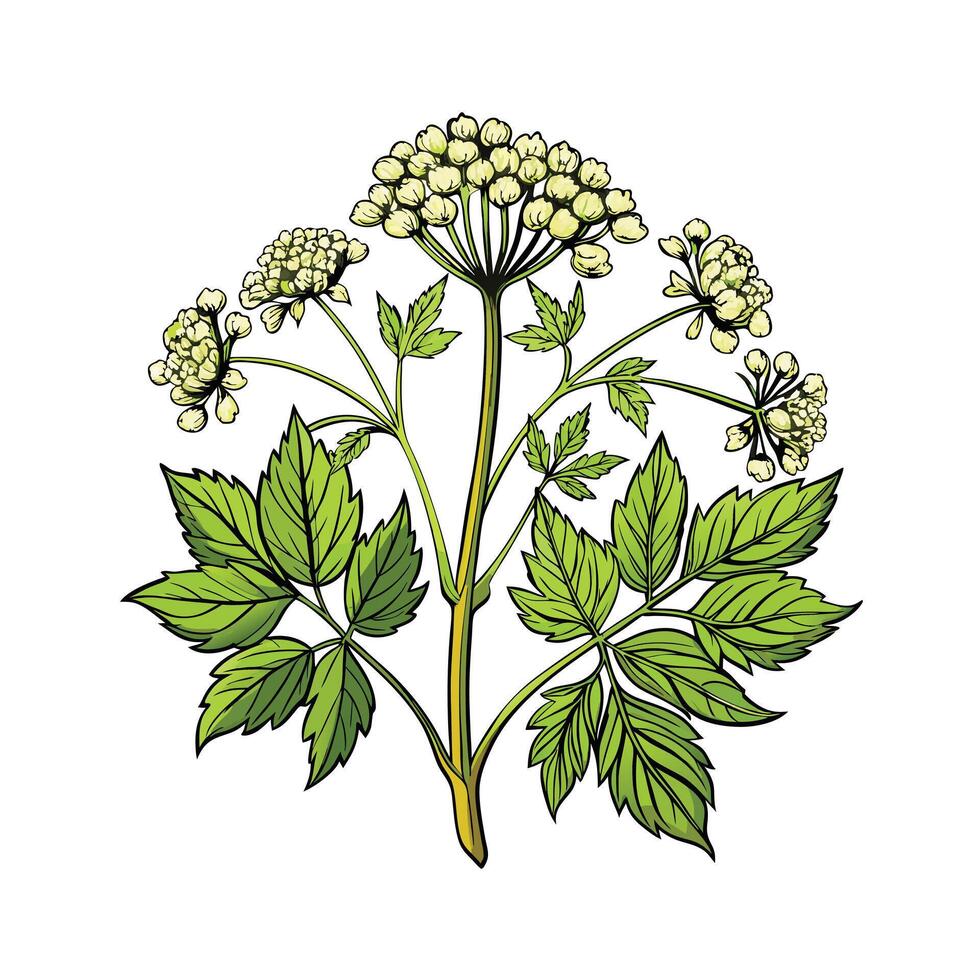 Realistic Beautiful Herbs Illustration vector