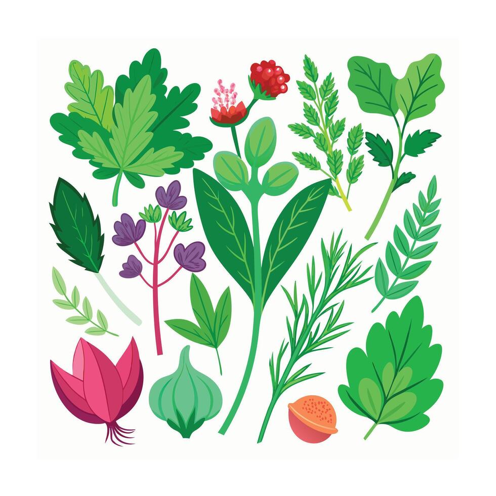 Realistic Beautiful Herbs Illustration vector