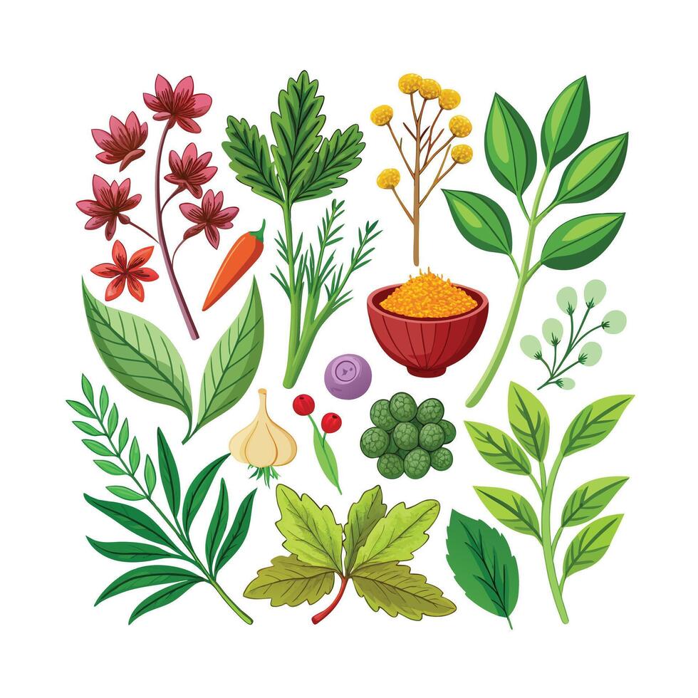 Realistic Beautiful Herbs Illustration vector