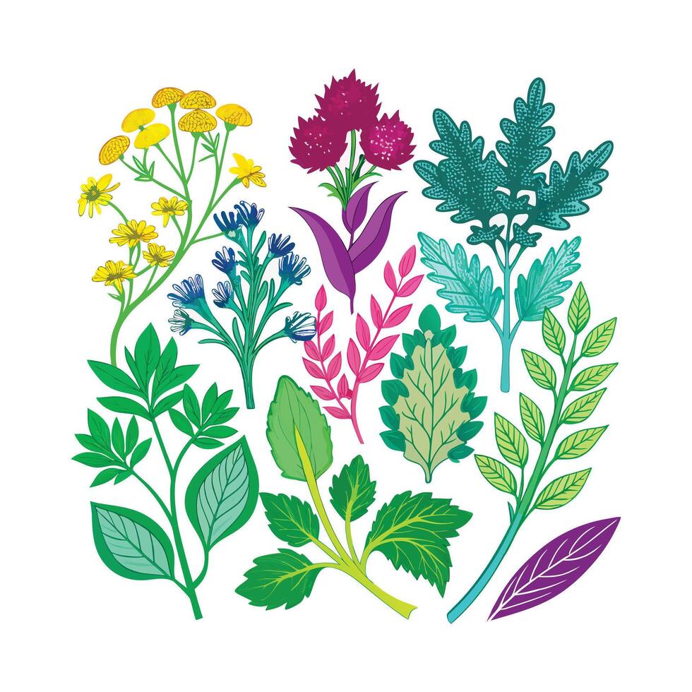Realistic Beautiful Herbs Illustration vector