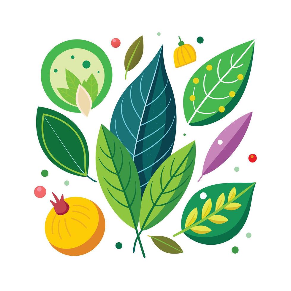 Realistic Beautiful Herbs Illustration vector