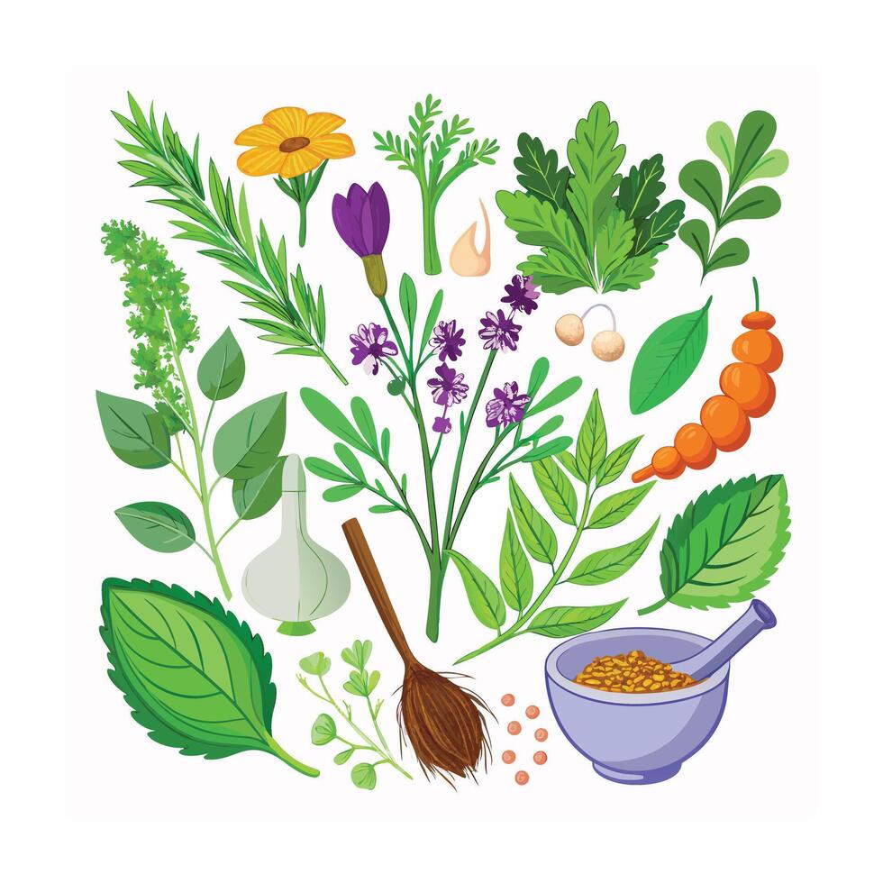 Realistic Beautiful Herbs Illustration vector