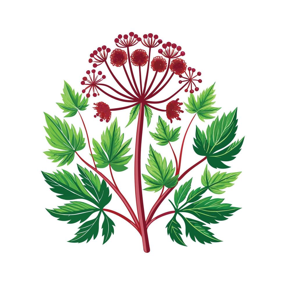 Realistic Beautiful Herbs Illustration vector