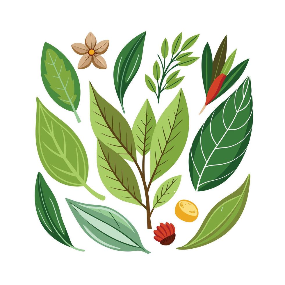 Realistic Beautiful Herbs Illustration vector
