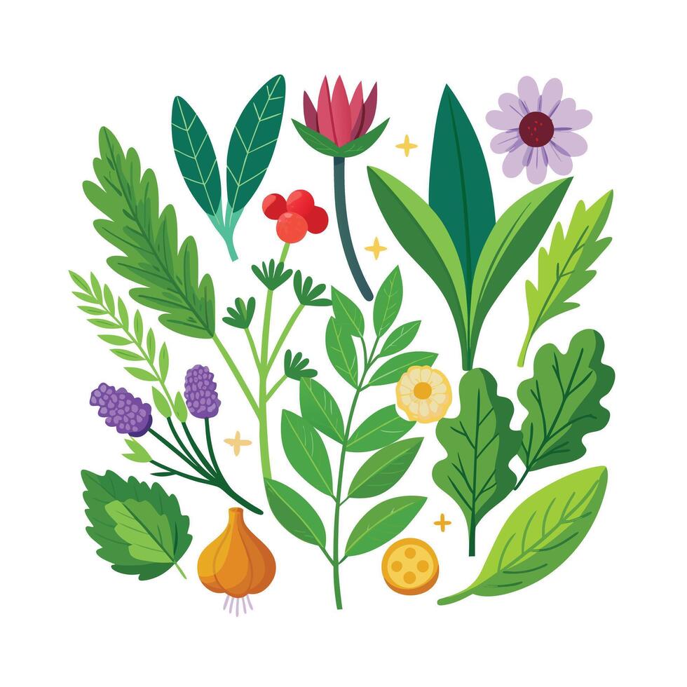 Realistic Beautiful Herbs Illustration vector