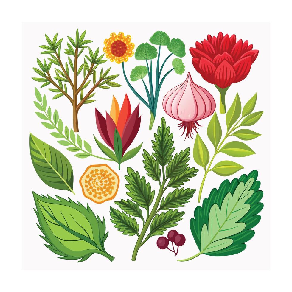 Realistic Beautiful Herbs Illustration vector