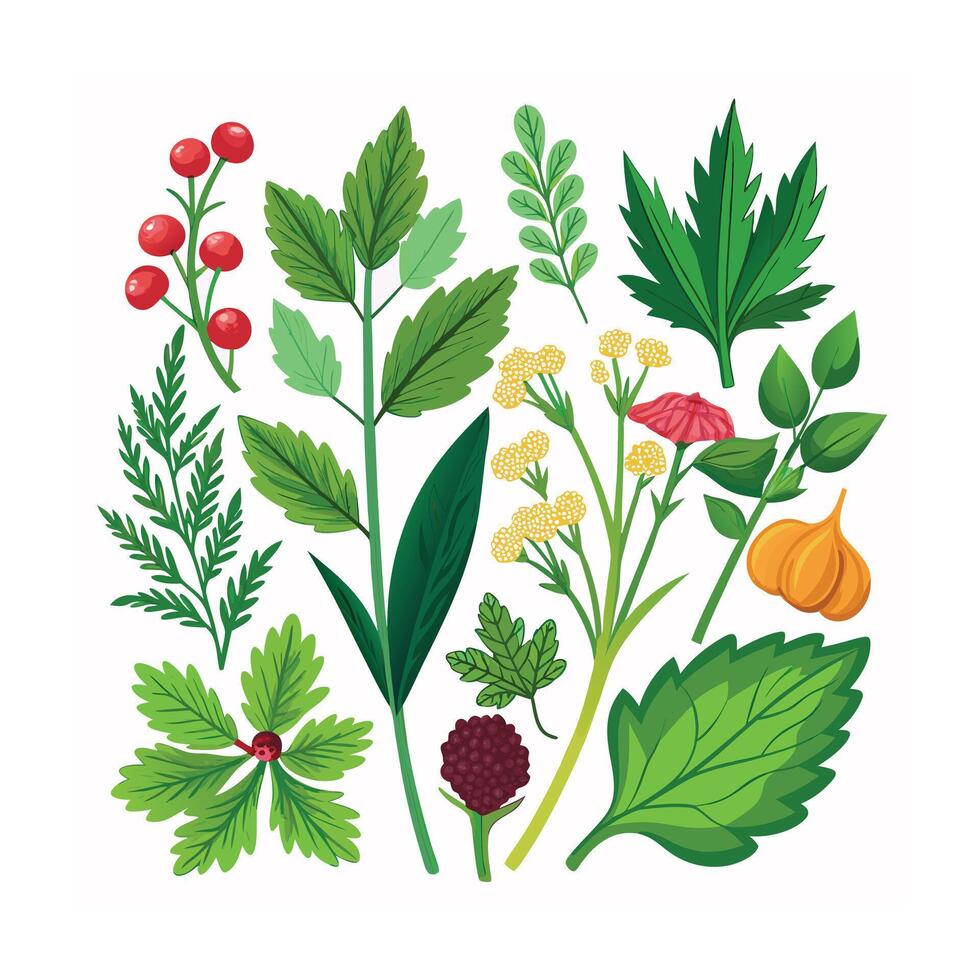 Realistic Beautiful Herbs Illustration vector