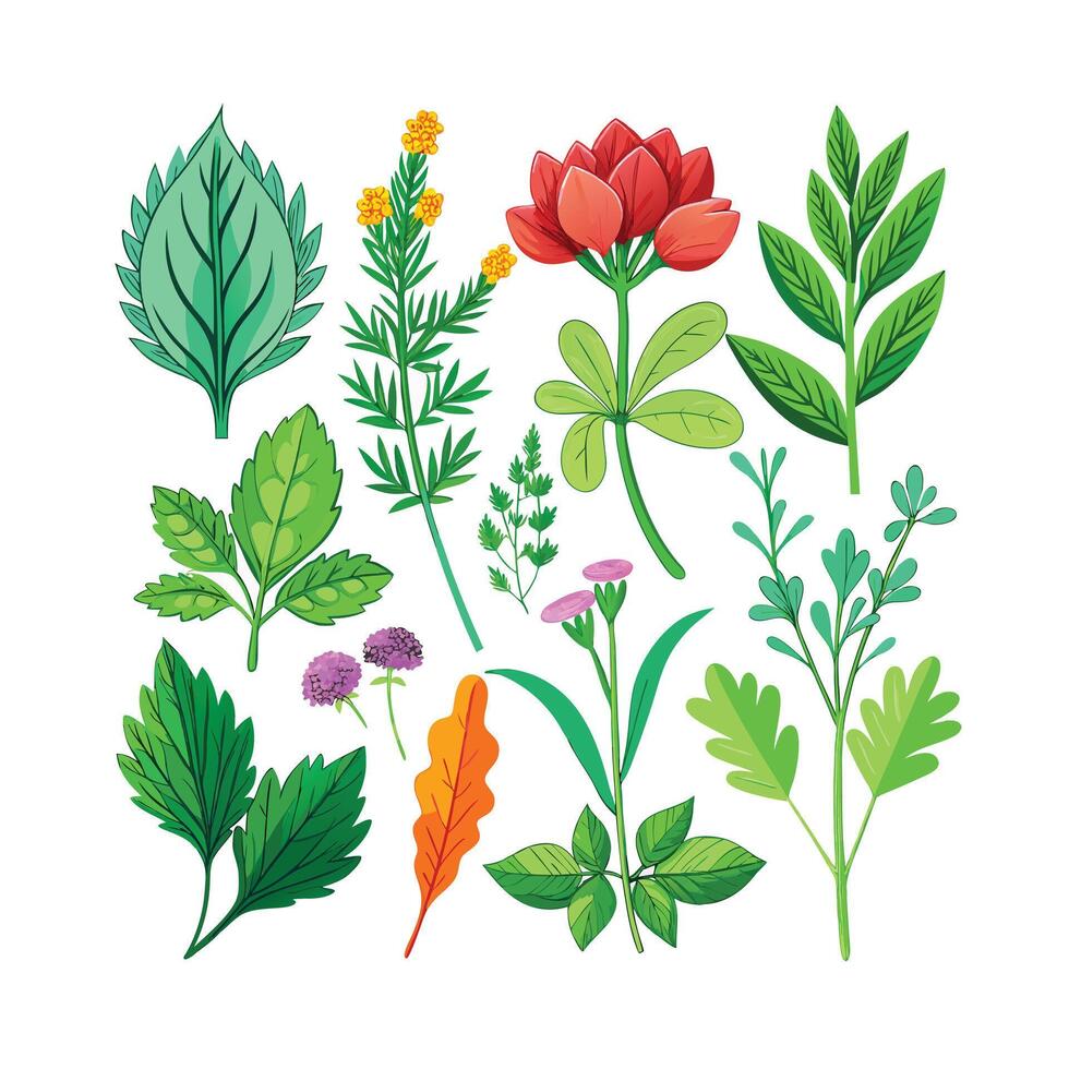 Realistic Beautiful Herbs Illustration vector
