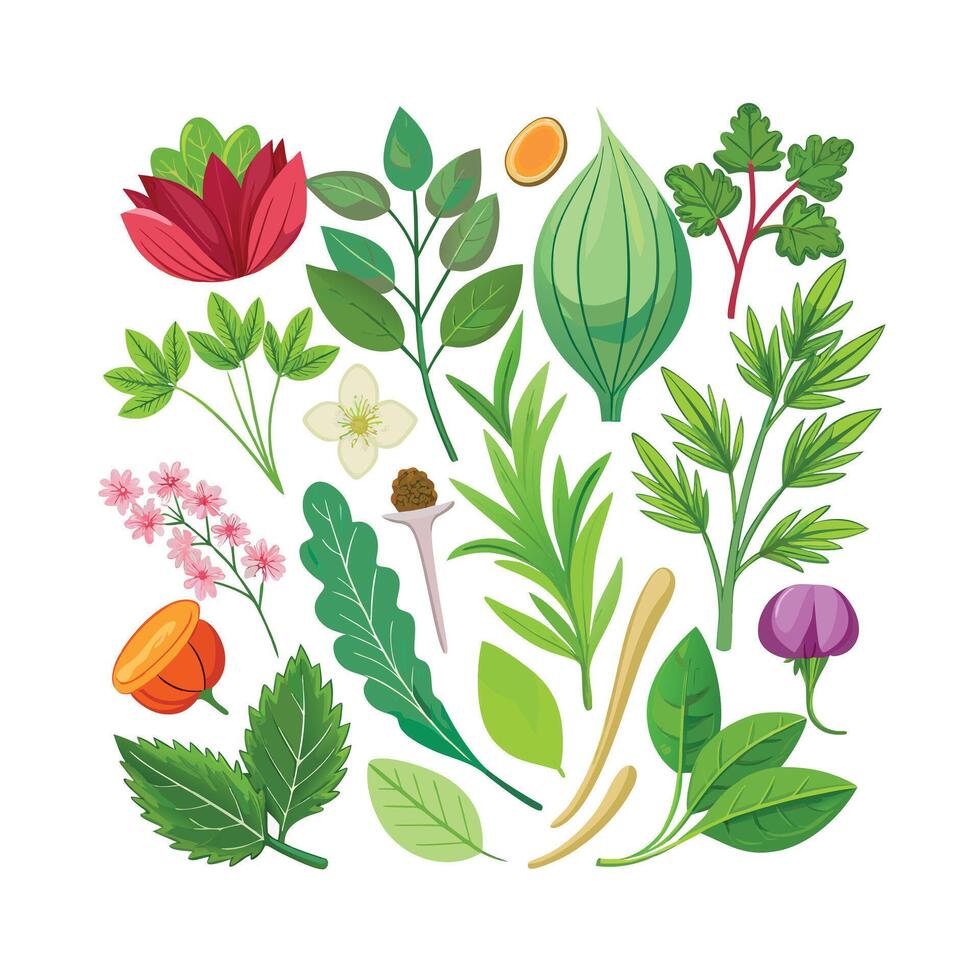 Realistic Beautiful Herbs Illustration vector