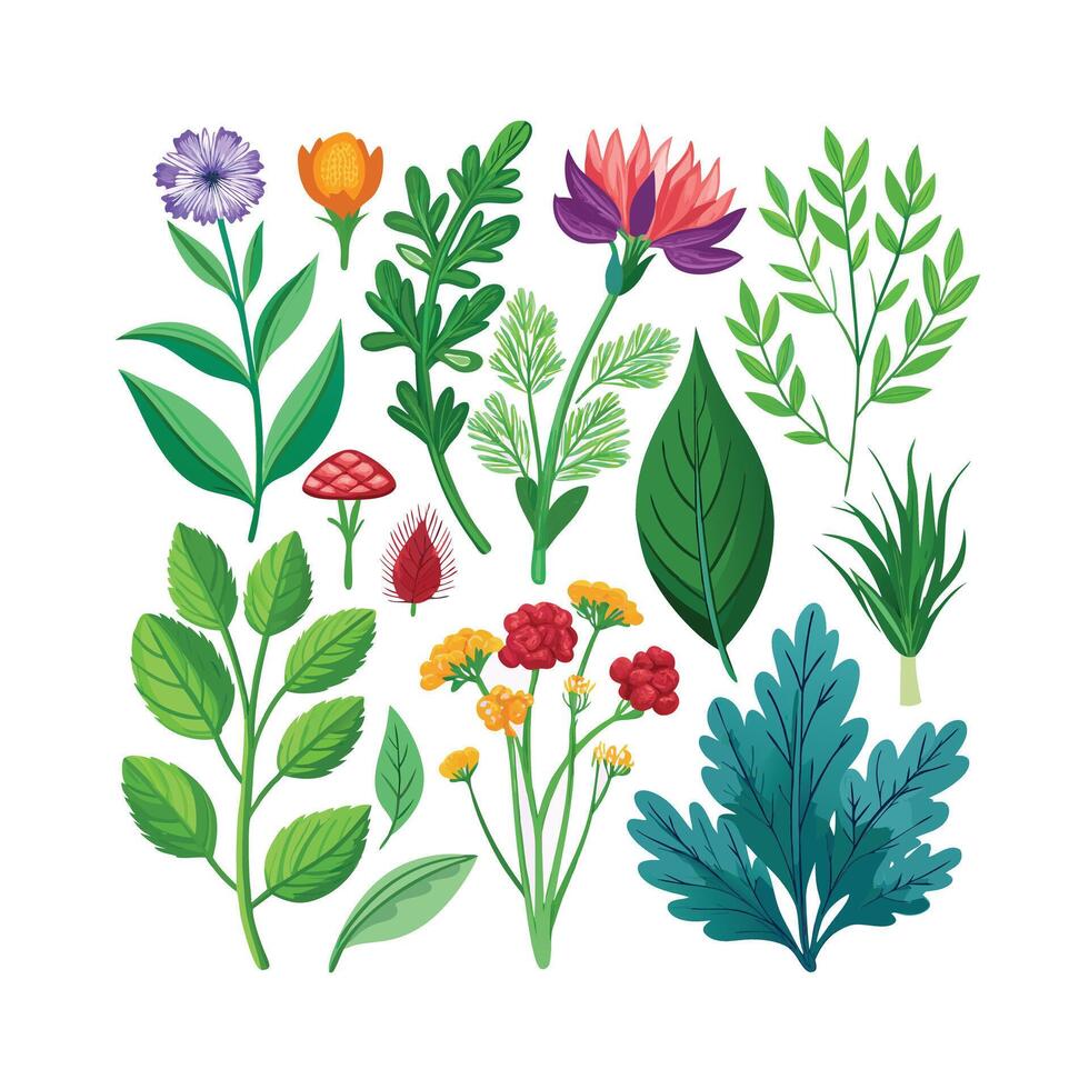 Realistic Beautiful Herbs Illustration vector
