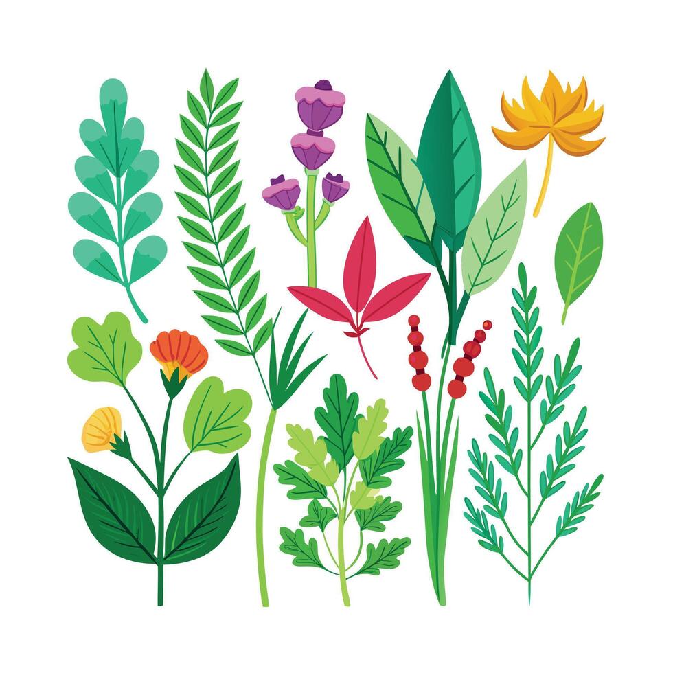 Realistic Beautiful Herbs Illustration vector