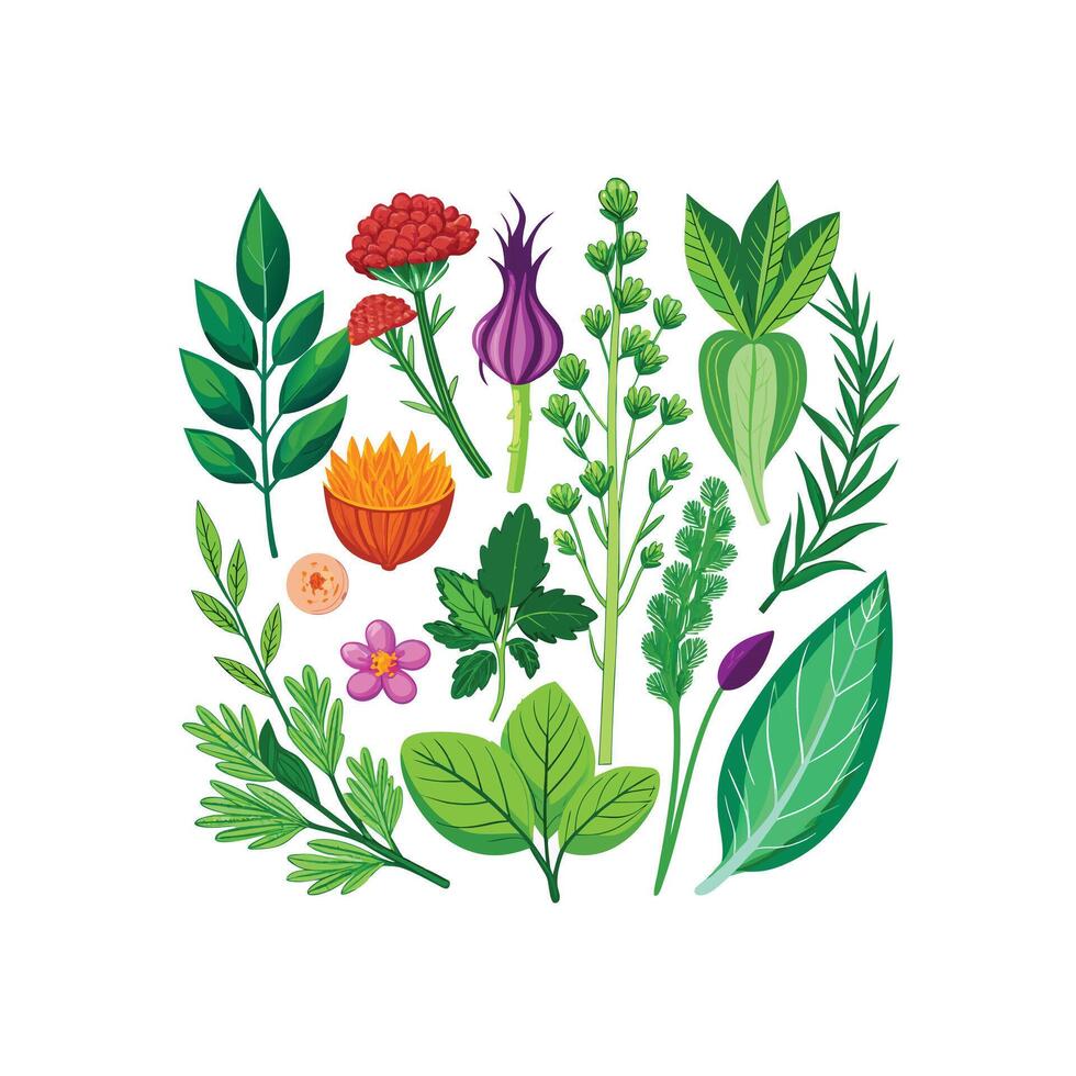 Realistic Beautiful Herbs Illustration vector