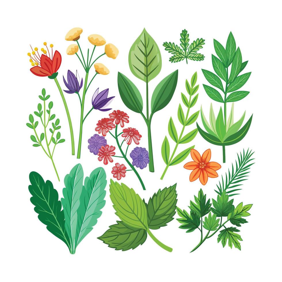Realistic Beautiful Herbs Illustration vector