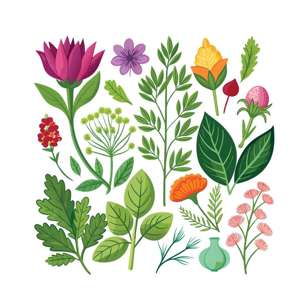 Realistic Beautiful Herbs Illustration vector