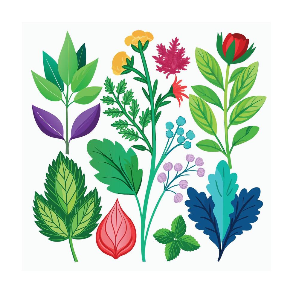 Realistic Beautiful Herbs Illustration vector