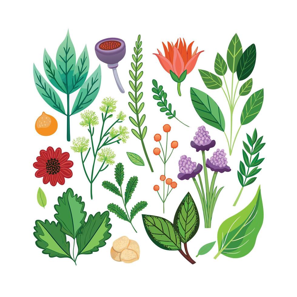 Realistic Beautiful Herbs Illustration vector