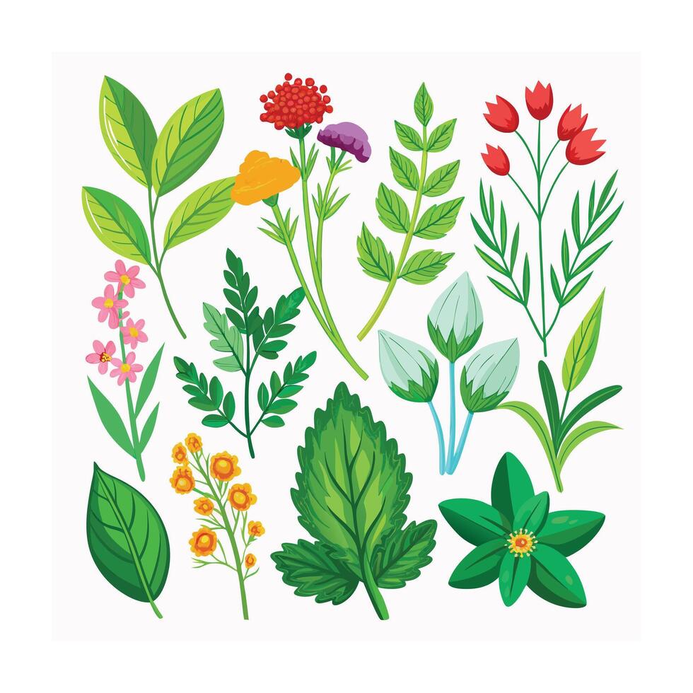 Realistic Beautiful Herbs Illustration vector