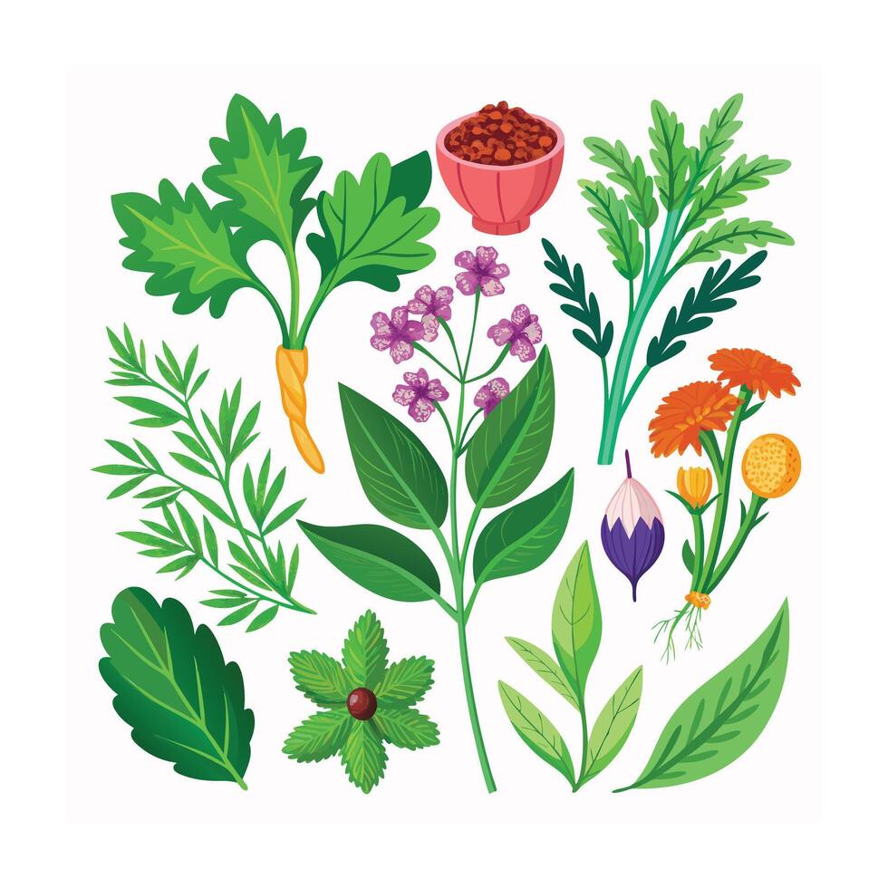 Realistic Beautiful Herbs Illustration vector