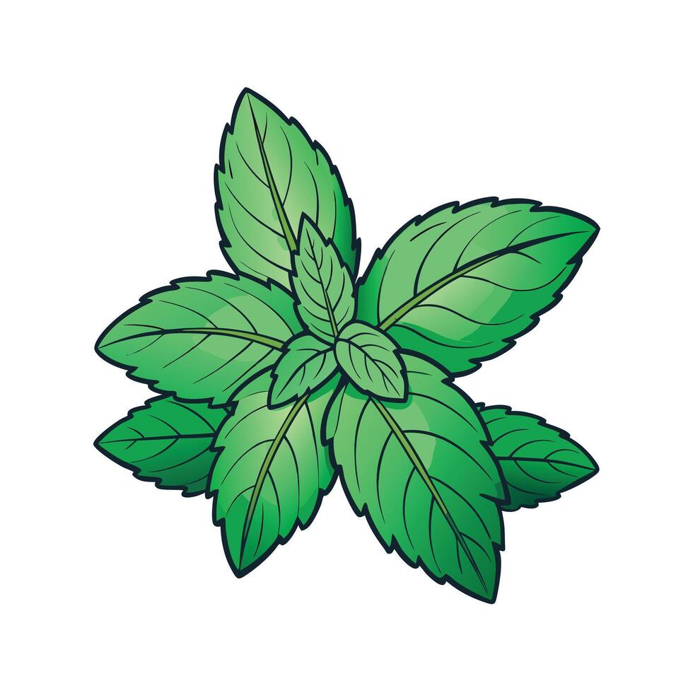 Realistic Beautiful Herbs Illustration vector