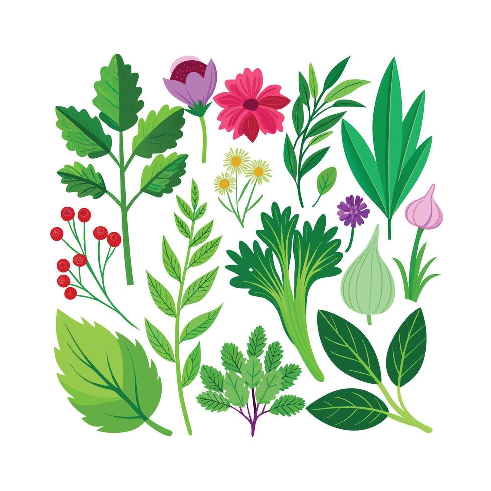 Realistic Beautiful Herbs Illustration vector