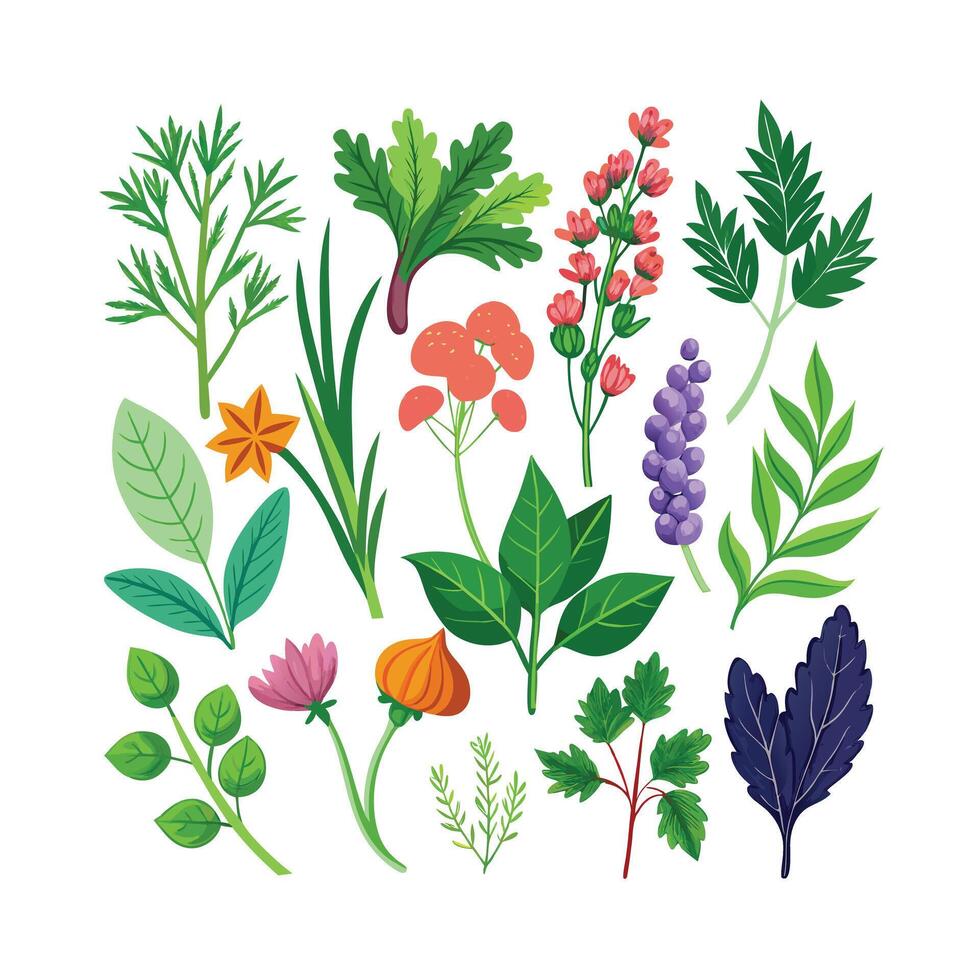 Realistic Beautiful Herbs Illustration vector