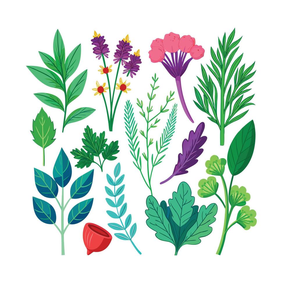 Realistic Beautiful Herbs Illustration vector