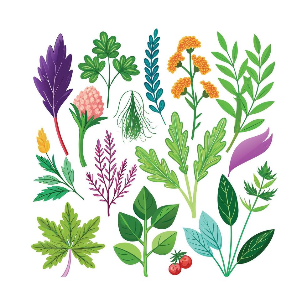 Realistic Beautiful Herbs Illustration vector
