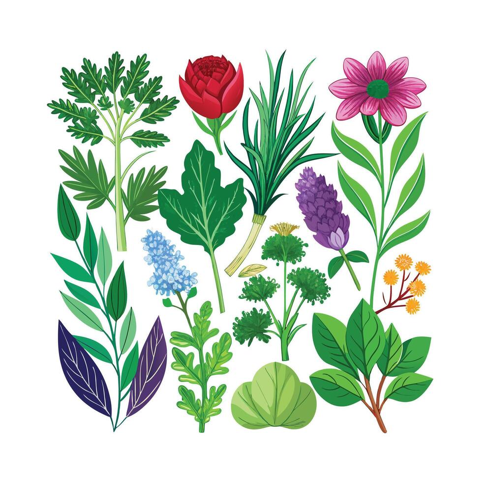 Realistic Beautiful Herbs Illustration vector