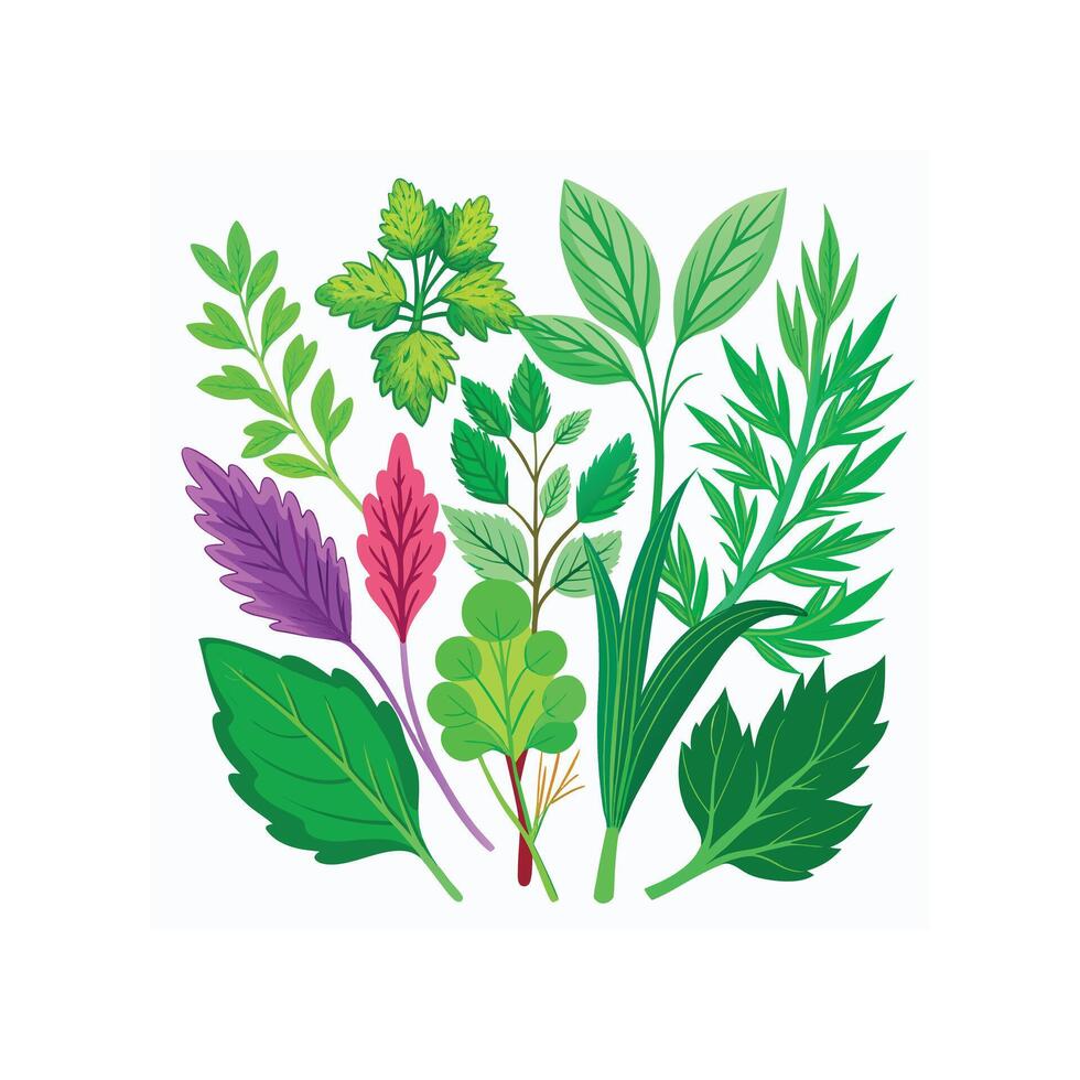 Realistic Beautiful Herbs Illustration vector